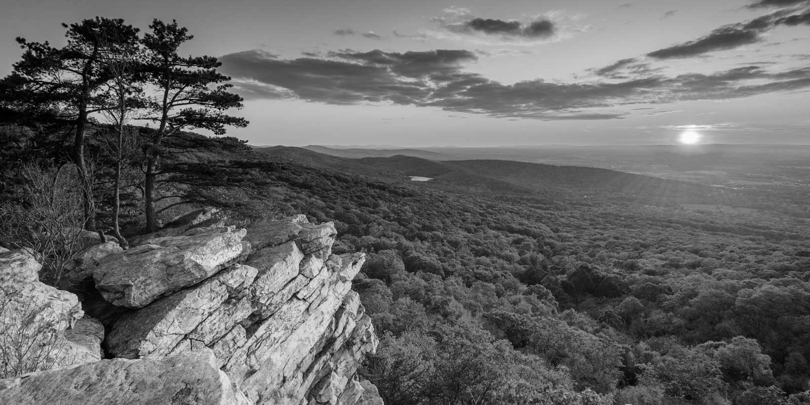 scenic landscape view grayscale